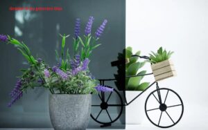 Verglasung Graphit Grau getontes Glas
