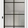 Typ 6067-03 Rodenberg Premium Ganzglas-Haustürfüllung