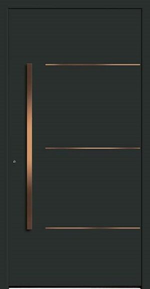 Typ 6172-47 Rodenberg Premium Aluminium-Haustürfüllung