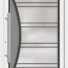Typ 6296-01 Rodenberg Premium Ganzglas-Haustürfüllung