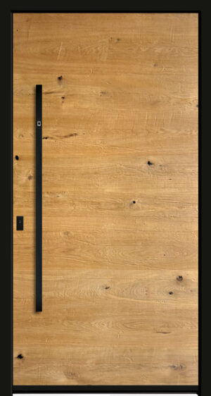 Typ 6497-89 Rodenberg Premium Kunststoff-Haustürfüllung
