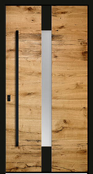 Typ 6725-89 Rodenberg Premium Aluminium-Haustürfüllung