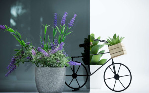 Graphit Grau getöntes Glas ESG