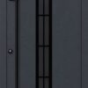 DS82 C21 Blackline - FM ALU-Haustür
