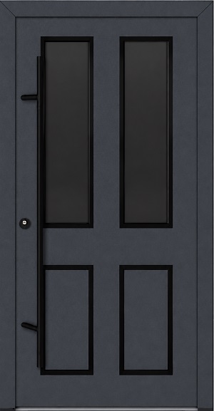DS82 C29  Blackline - FM ALU-Haustür