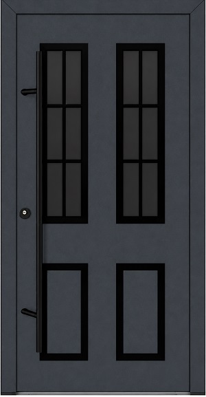 DS82 C30  Blackline - FM ALU-Haustür