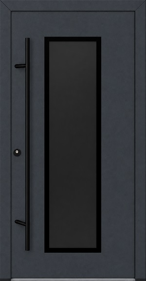 DS82 C34  Blackline - FM ALU-Haustür