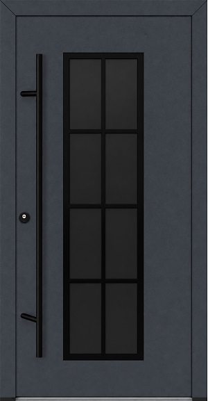 DS82 C35 Blackline - FM ALU-Haustür