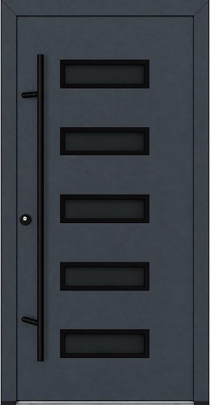 DS82 M31 Blackline - FM ALU-Haustür