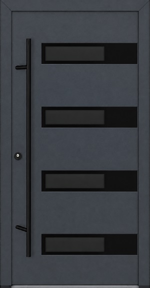 DS82 M63 Blackline - FM ALU-Haustür
